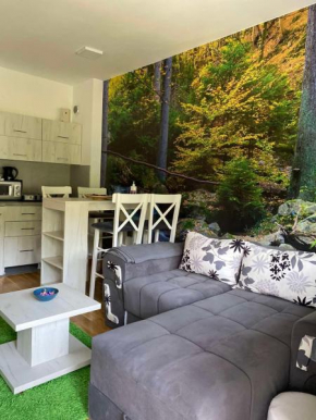Apartman Aleksandra,Titova vila, Zlatibor